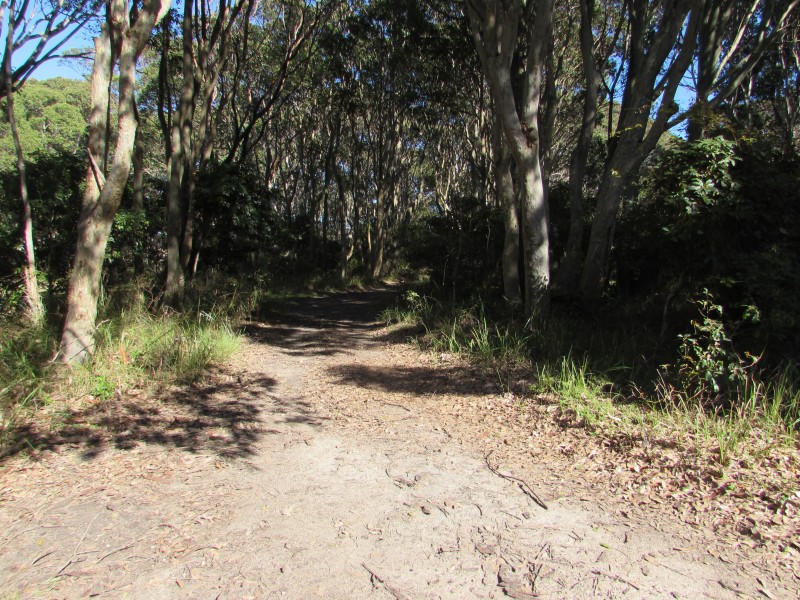 Lot 1 and 8 Dalmeny Drive, Kianga NSW 2546