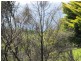 Lot 1 and 8 Dalmeny Drive, Kianga NSW 2546
