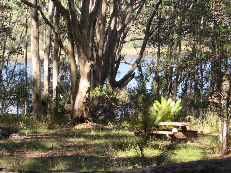 Lot 1 and 8 Dalmeny Drive, Kianga NSW 2546