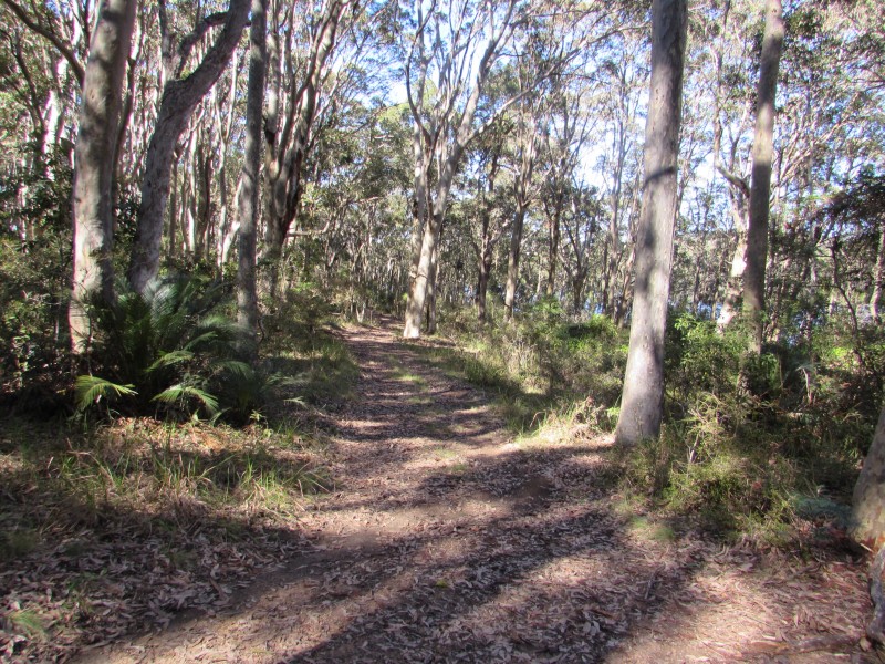 Lot 1 and 8 Dalmeny Drive, Kianga NSW 2546
