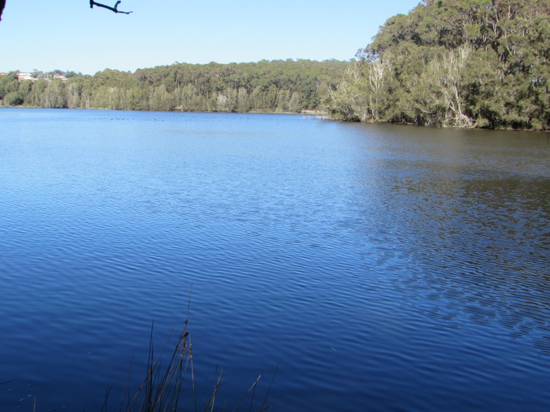 Lot 1 and 8 Dalmeny Drive, Kianga NSW 2546