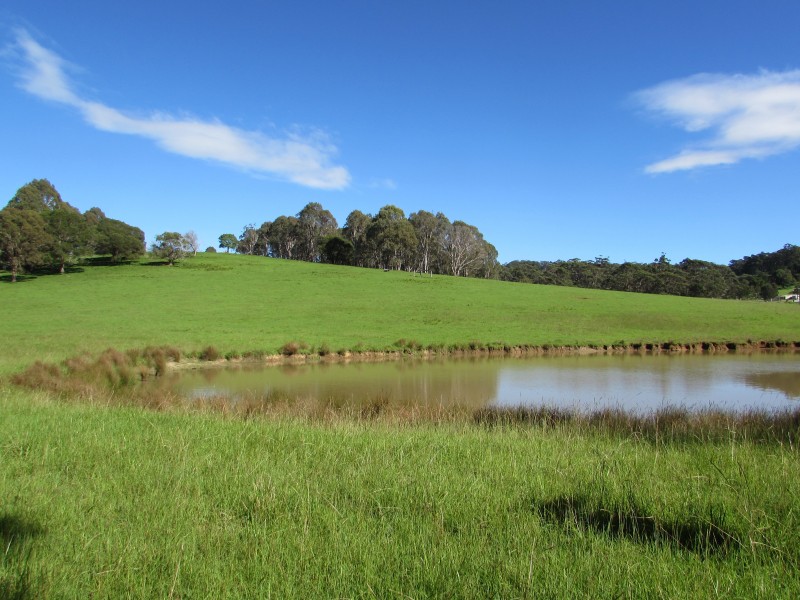 Lot 1 82 Wagonga Scenic Drive, Narooma NSW 2546