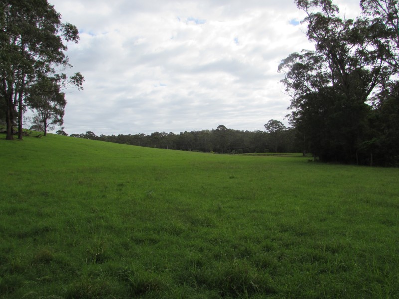 Lot 1 82 Wagonga Scenic Drive, Narooma NSW 2546