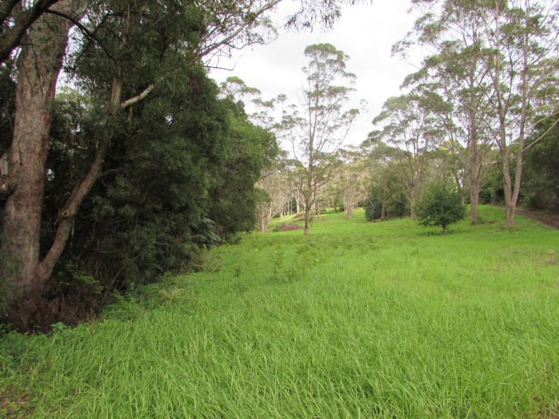 Lot 11  82 Wagonga Scenic Drive, Narooma NSW 2546