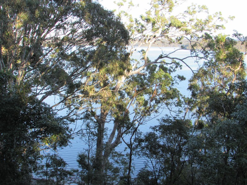 11 Flower Cct, Akolele NSW 2546