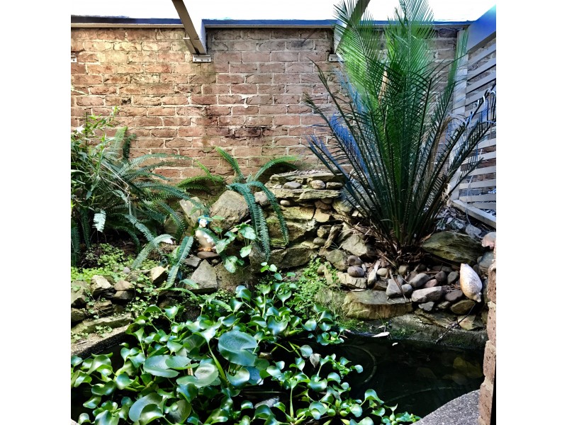 74 River Road, Bermagui NSW 2546