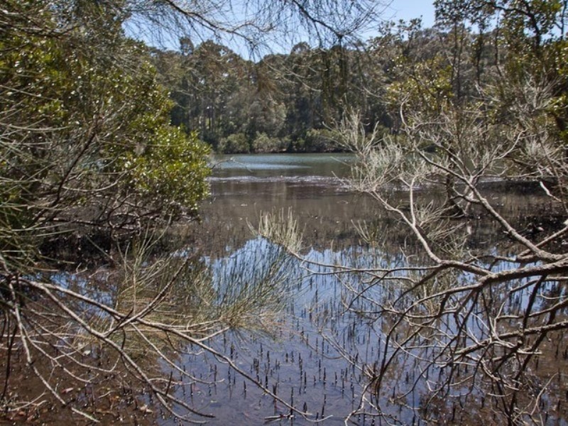 74 River Road, Bermagui NSW 2546