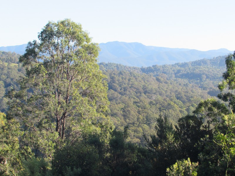 198 Hore Lacey’s Road, Brogo NSW 2550