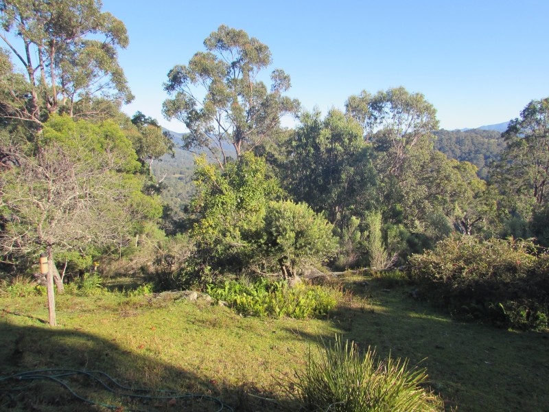 198 Hore Lacey’s Road, Brogo NSW 2550