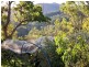 198 Hore Lacey’s Road, Brogo NSW 2550