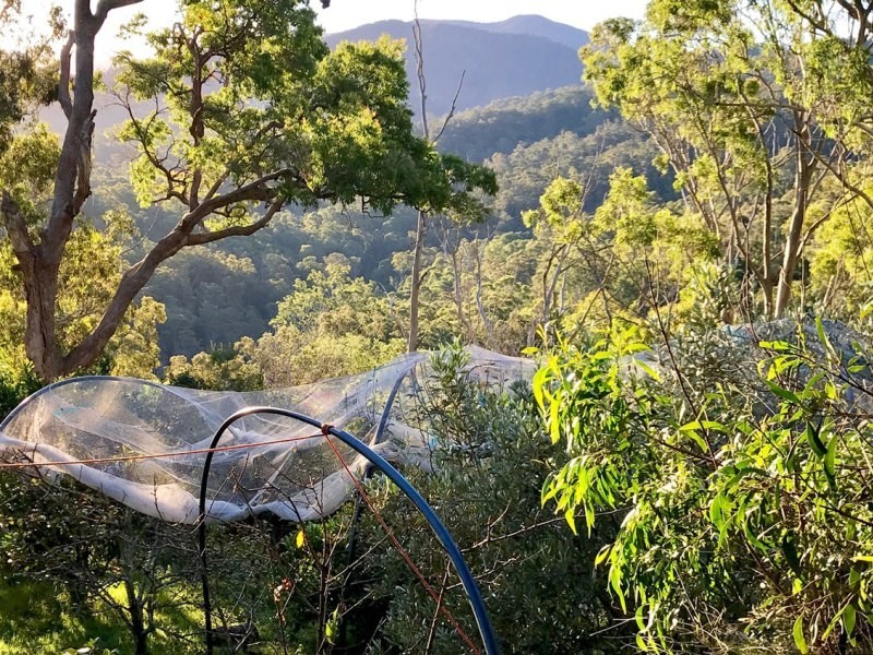 198 Hore Lacey’s Road, Brogo NSW 2550