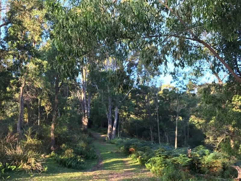 198 Hore Lacey’s Road, Brogo NSW 2550