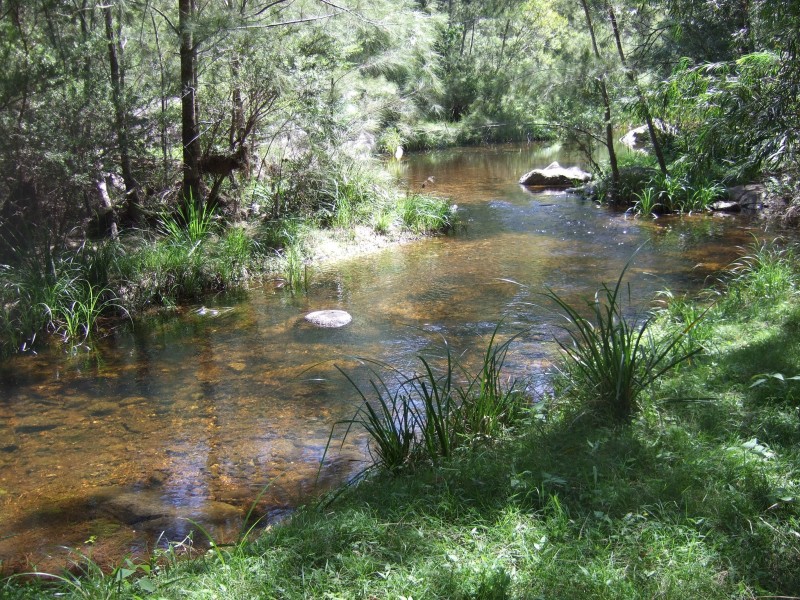 198 Hore Lacey’s Road, Brogo NSW 2550