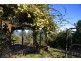 198 Hore Lacey’s Road, Brogo NSW 2550