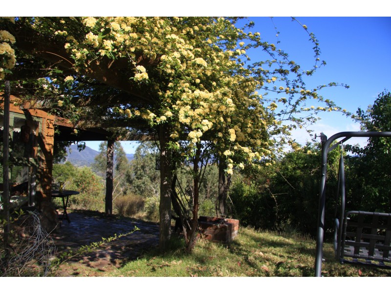 198 Hore Lacey’s Road, Brogo NSW 2550