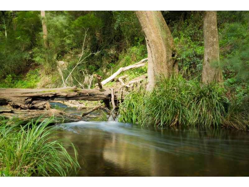 12755 Princes Highway, Brogo NSW 2550