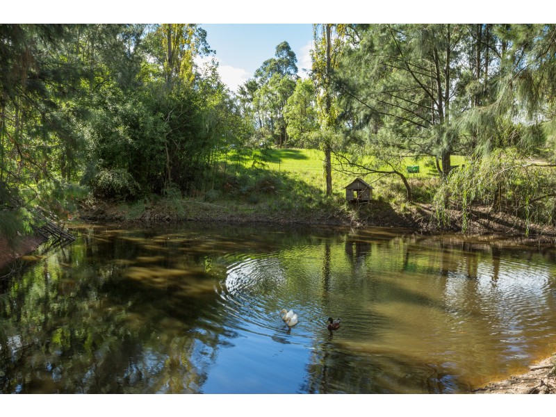 12755 Princes Highway, Brogo NSW 2550
