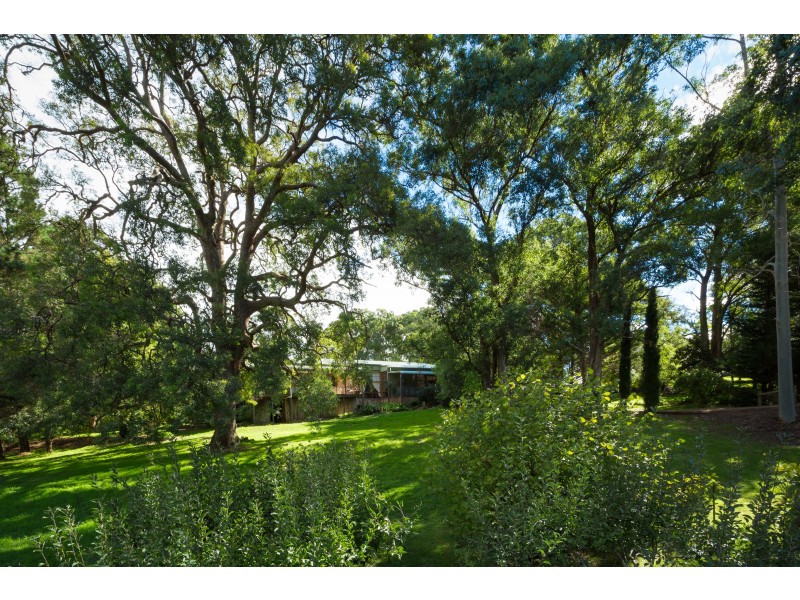 12755 Princes Highway, Brogo NSW 2550