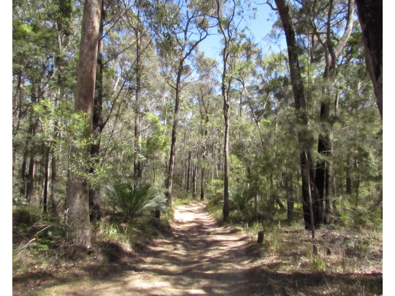 253 Horse Island Road, Bodalla NSW 2545