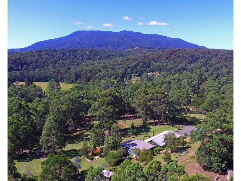 81 Dignams Creek Road, Cobargo NSW 2550
