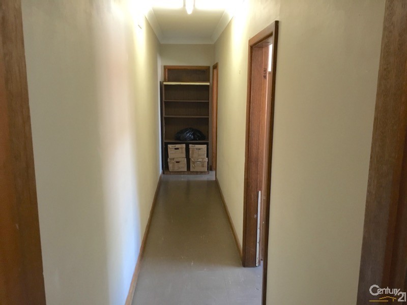 Rear 36 Mawson Parade, Chifley NSW 2036