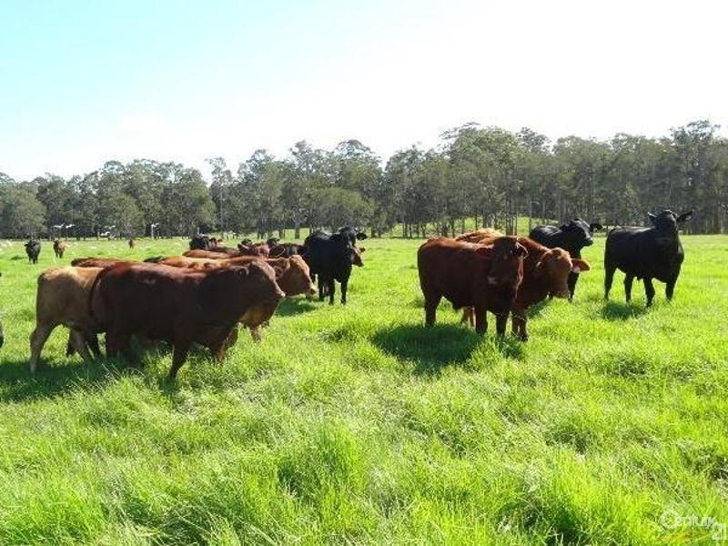 33 River Road, Repton NSW 2454