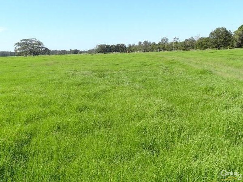 33 River Road, Repton NSW 2454