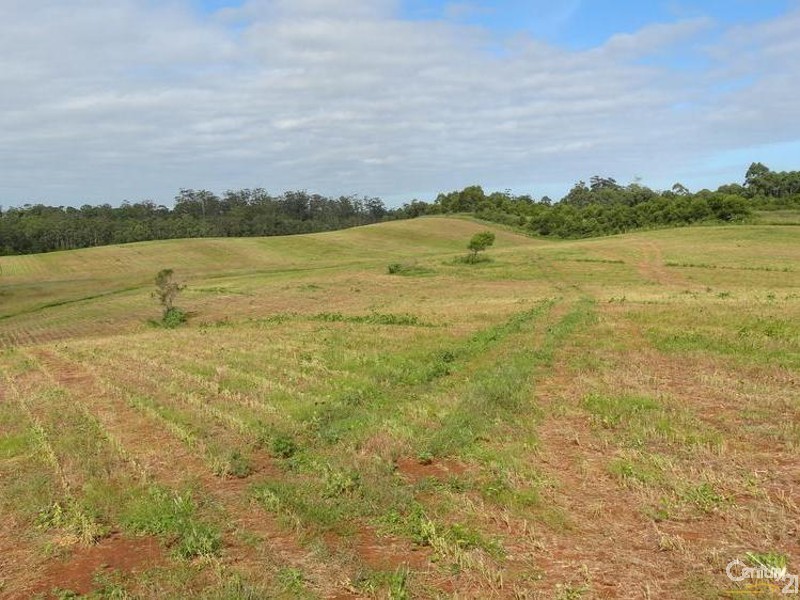 Lot 303 Bonville Station Road, Bonville NSW 2441