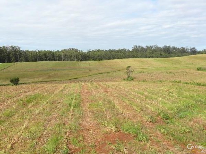 Lot 303 Bonville Station Road, Bonville NSW 2441