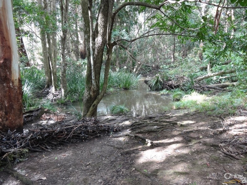 47 Boggy Creek Road, Nambucca Heads NSW 2448
