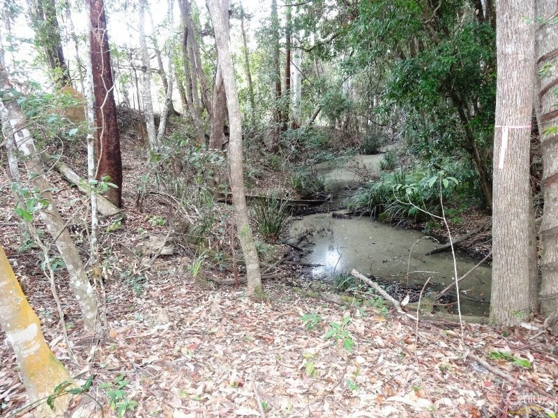 Valla NSW 2448