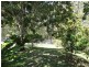 129 Old Pacific Highway, Raleigh NSW 2454
