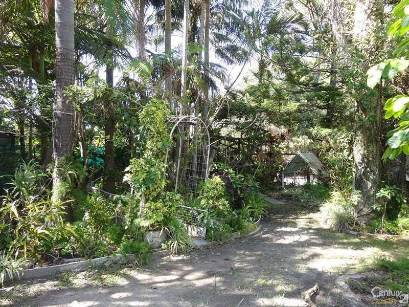 29 Boronia Street, Sawtell NSW 2452