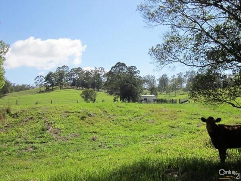 40 Wards Road, Utungun NSW 2447