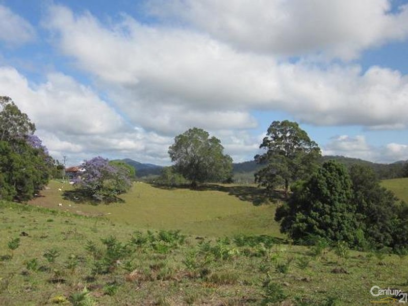 40 Wards Road, Utungun NSW 2447