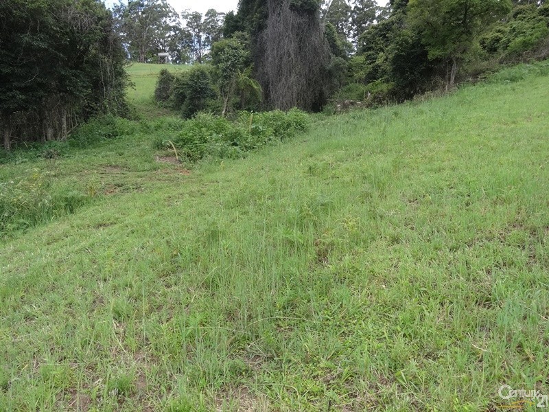 Karangi NSW 2450