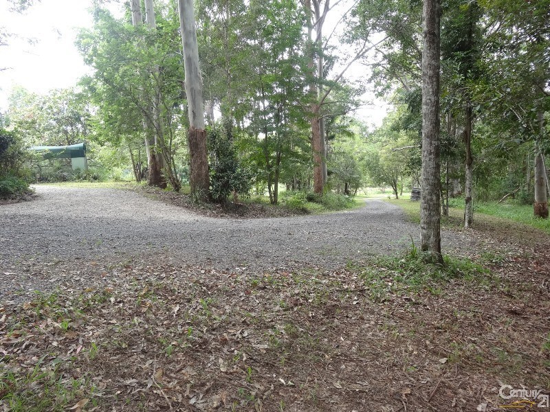 54 Summervilles Road, Bellingen NSW 2454