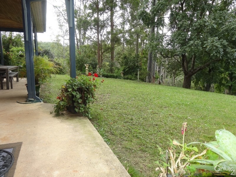 54 Summervilles Road, Bellingen NSW 2454