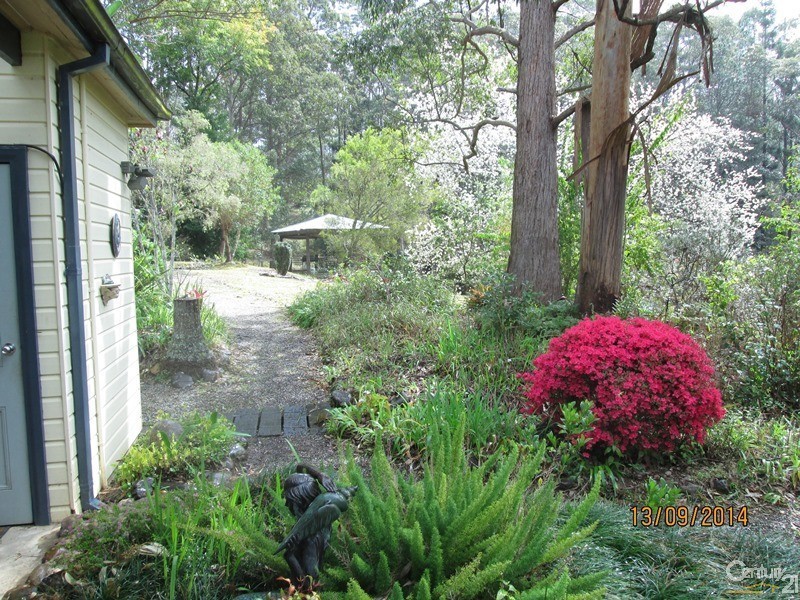 54 Summervilles Road, Bellingen NSW 2454