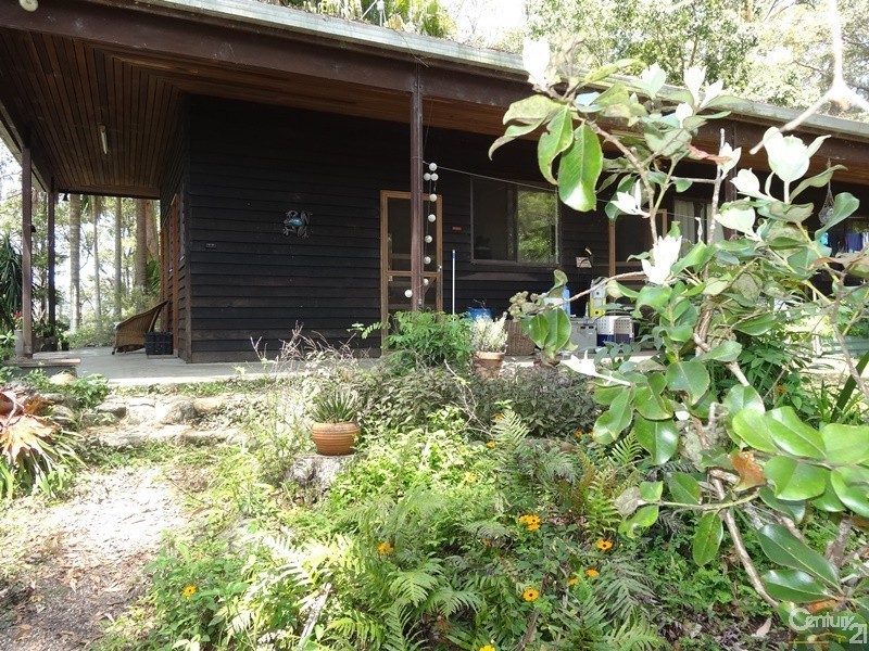 54 Summervilles Road, Bellingen NSW 2454