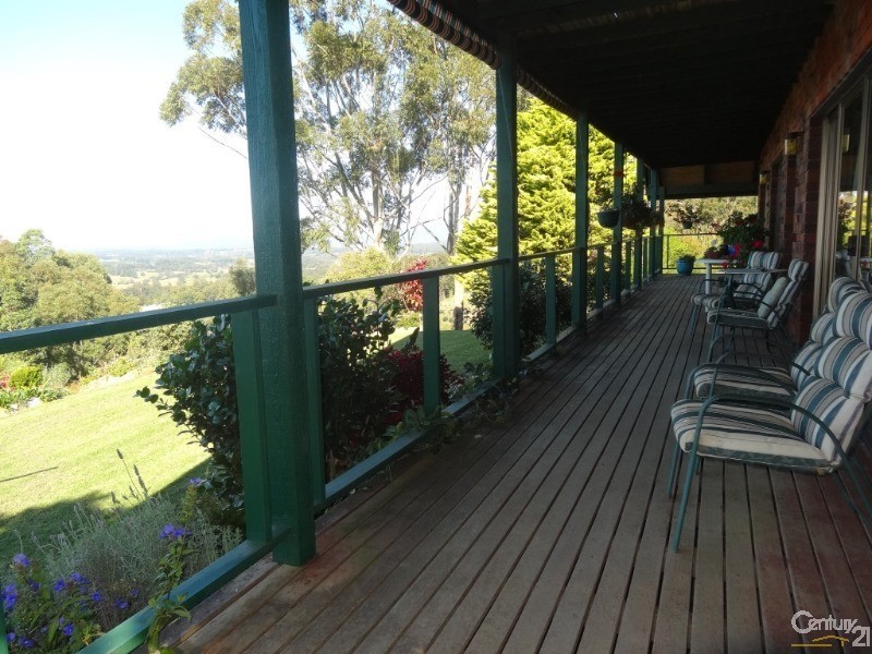 161 Richards Road, Newee Creek NSW 2447