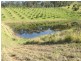 161 Richards Road, Newee Creek NSW 2447