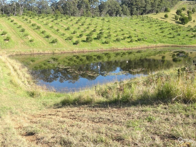 161 Richards Road, Newee Creek NSW 2447