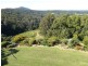 161 Richards Road, Newee Creek NSW 2447
