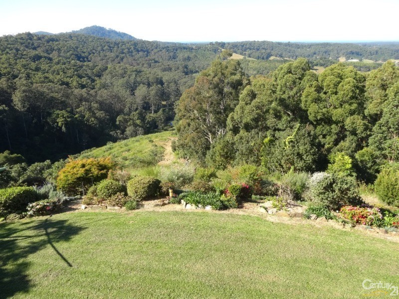 161 Richards Road, Newee Creek NSW 2447