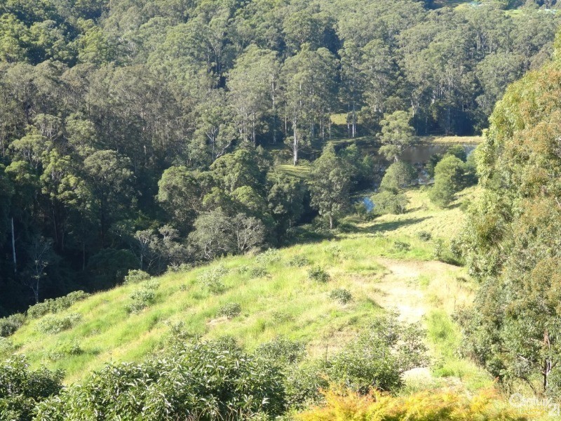 161 Richards Road, Newee Creek NSW 2447