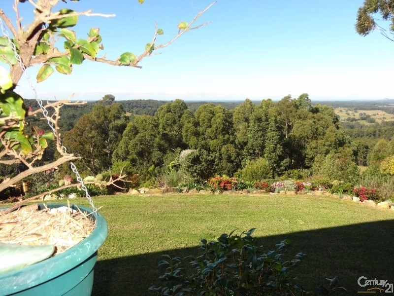 161 Richards Road, Newee Creek NSW 2447