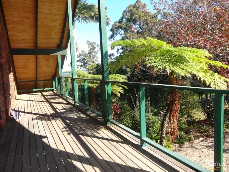 161 Richards Road, Newee Creek NSW 2447