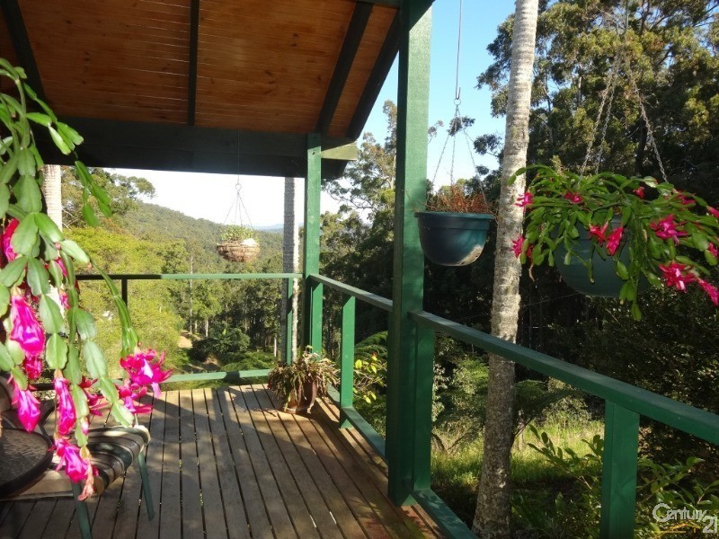 161 Richards Road, Newee Creek NSW 2447