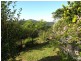 161 Richards Road, Newee Creek NSW 2447